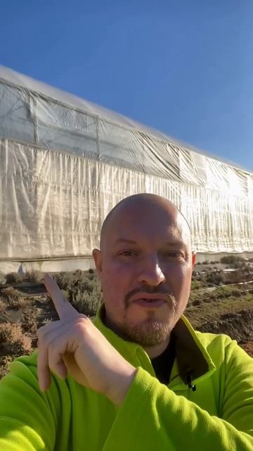 Питомник в Крыму Что в теплицах? #shorts #nursery #plants #питомник #Крым #Crimea #агроном #spring смотреть онлайн