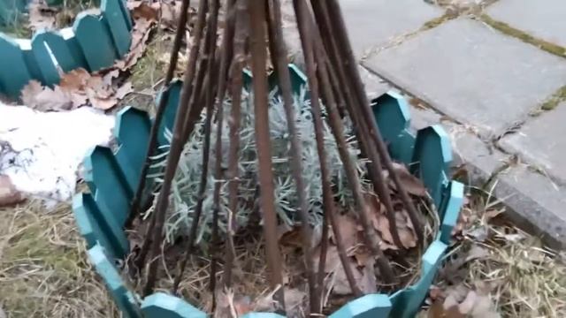 Что у нас в деревне смотреть онлайн