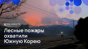 Лесные пожары охватили Южную Корею