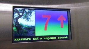 Лифт Ecomaks-(ЩЛЗ 2018 г.в.), V=1 м/с, Q=400 кг (1916)