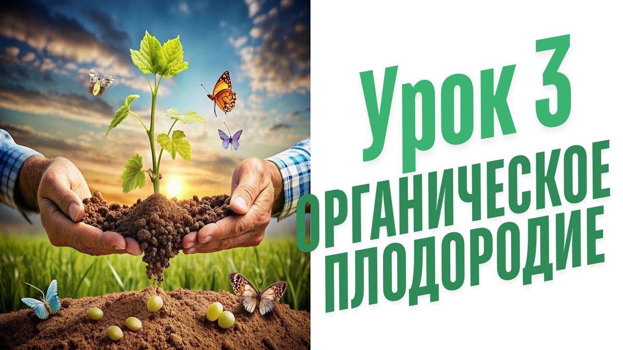 Природное земледелие. С чего начать?