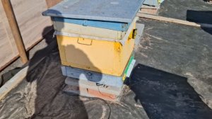 Весенний подогрев пчел