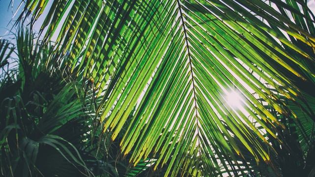 Chill music 5