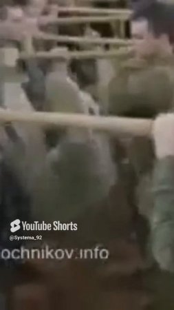 Система боевого выживания Кадочникова. Специальная физическая и огневая подготовка.