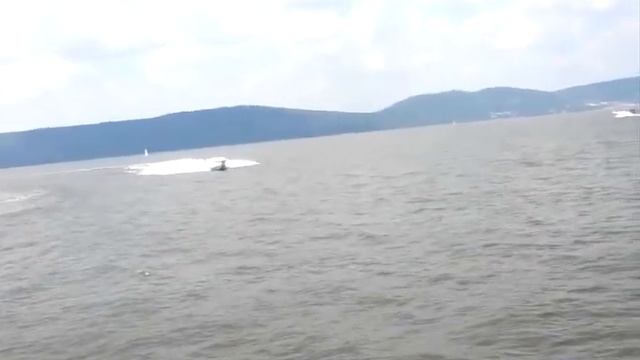 mw donzi1.mov смотреть онлайн