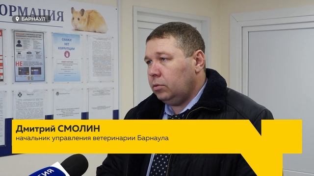 День с Толком 21.03.2025