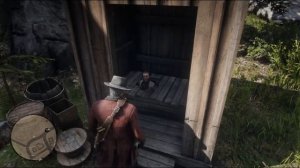 Red Dead Redemption 2 # 170 ДОМОВОДСТВО ДЛЯ НАЧИНАЮЩИХ ➤ Прохождение Без Комментариев На Русском