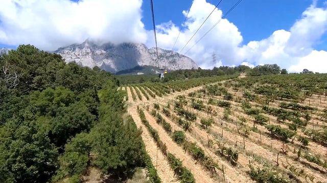 ФЕОДОСИЯ 2022 смотреть онлайн