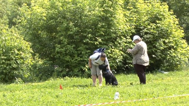 "Стенка" Бугатти Черная Молния, рядовость, аппортировка смотреть онлайн