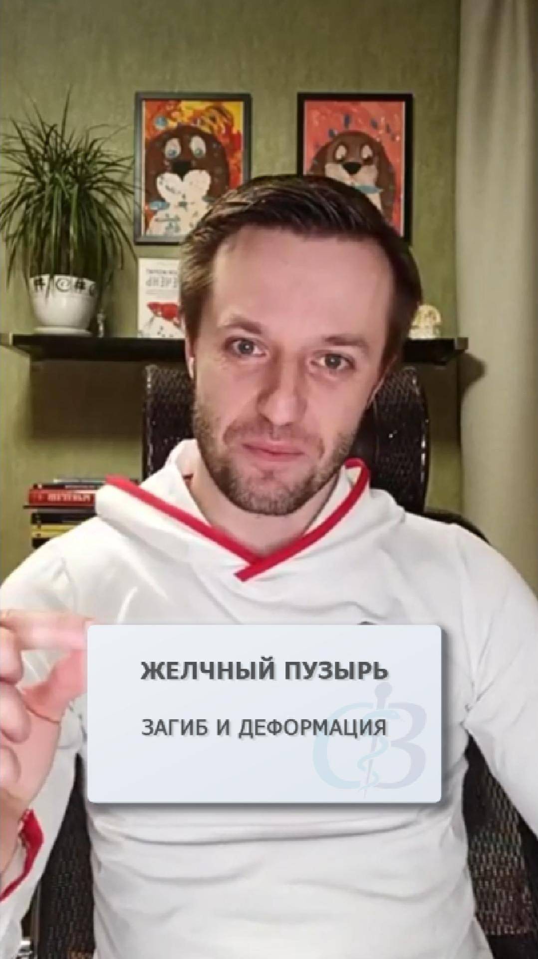Желчный пузырь - как влияет на его работу загиб или деформация?