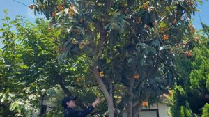 Наша жизнь на юге Японии! Июнь в Фукуоке