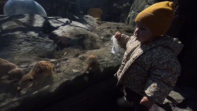 ИЗ ЖИЗНИ МОЛОДОЙ МАМЫ : стройка, поездка в парк и к бабушкам в деревню ❤️
