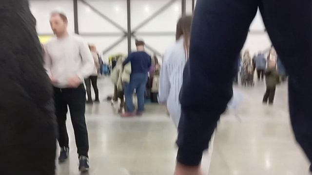 Выставка собак в Экспофоруме 2025 #Экспофорум #зоошоу