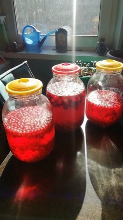 Красная вкусняшка ждёт своего часа, запасы на лето.