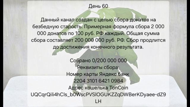День 60 смотреть онлайн