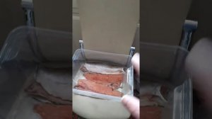 Засолка рыбы перед холодным копчением