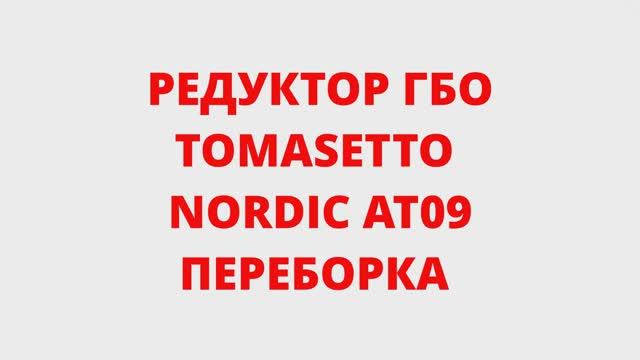 ПЕРЕБОРКА РЕДУКТОРА ГБО TOMASETTO NORDIC AT09
