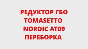ПЕРЕБОРКА РЕДУКТОРА ГБО TOMASETTO NORDIC AT09