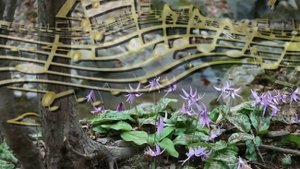 Релаксация и отдых. Чилл Хаус. Музыку можно использовать как фон для работы. Видео для тренировки