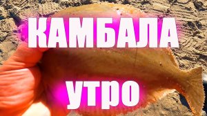 Камбала в п. Морском, Калининградская область