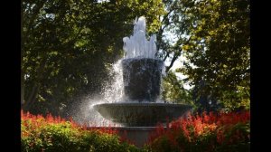 Севастополь 13 сентября 2021. фото