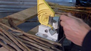 Bench grafting