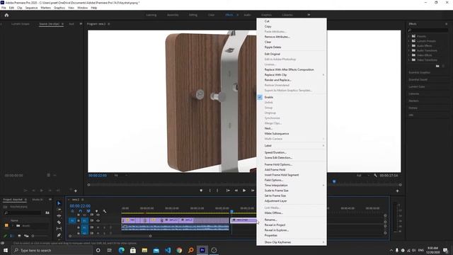 Reverse Video in Adobe premiere pro [Reverse]