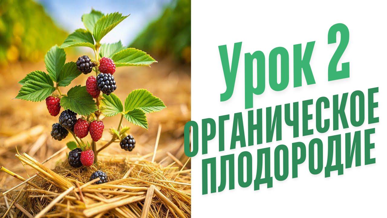 Начинающим природное земледелие.