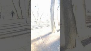 Гуляю по Красносельскому району