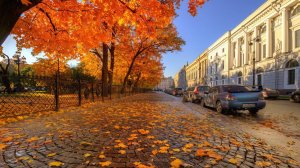Питерские каникулы