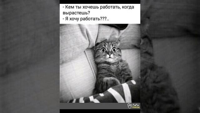 МИНУТКА ХОРОШЕГО НАСТРОЕНИЯ ЗДЕСЬ😻 смотреть онлайн