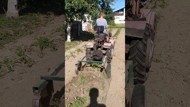 26 сентября 2023 г. смотреть онлайн