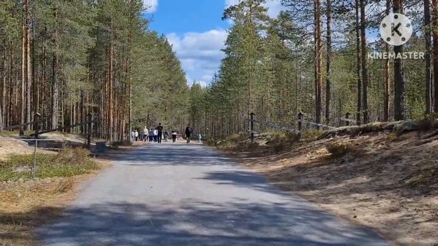 МЕДВЕЖЬЕГОРСК  урочище 