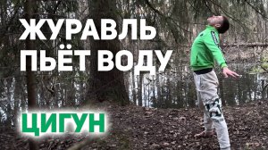 ⚡ ЖУРАВЛЬ ПЬЁТ ВОДУ ⚡ ЦИГУН ⚡ #цигун #энергопрактики #дао