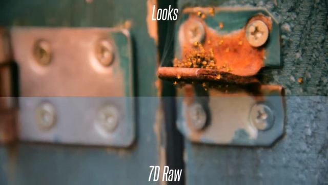 Magic Bullet Looks CC EXAMPLE - Spiders смотреть онлайн