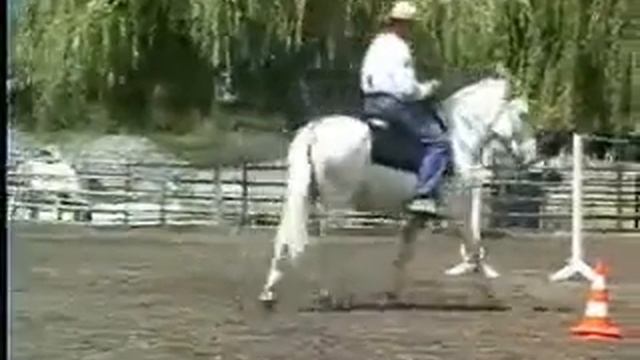 Don Alfredo part 2 смотреть онлайн