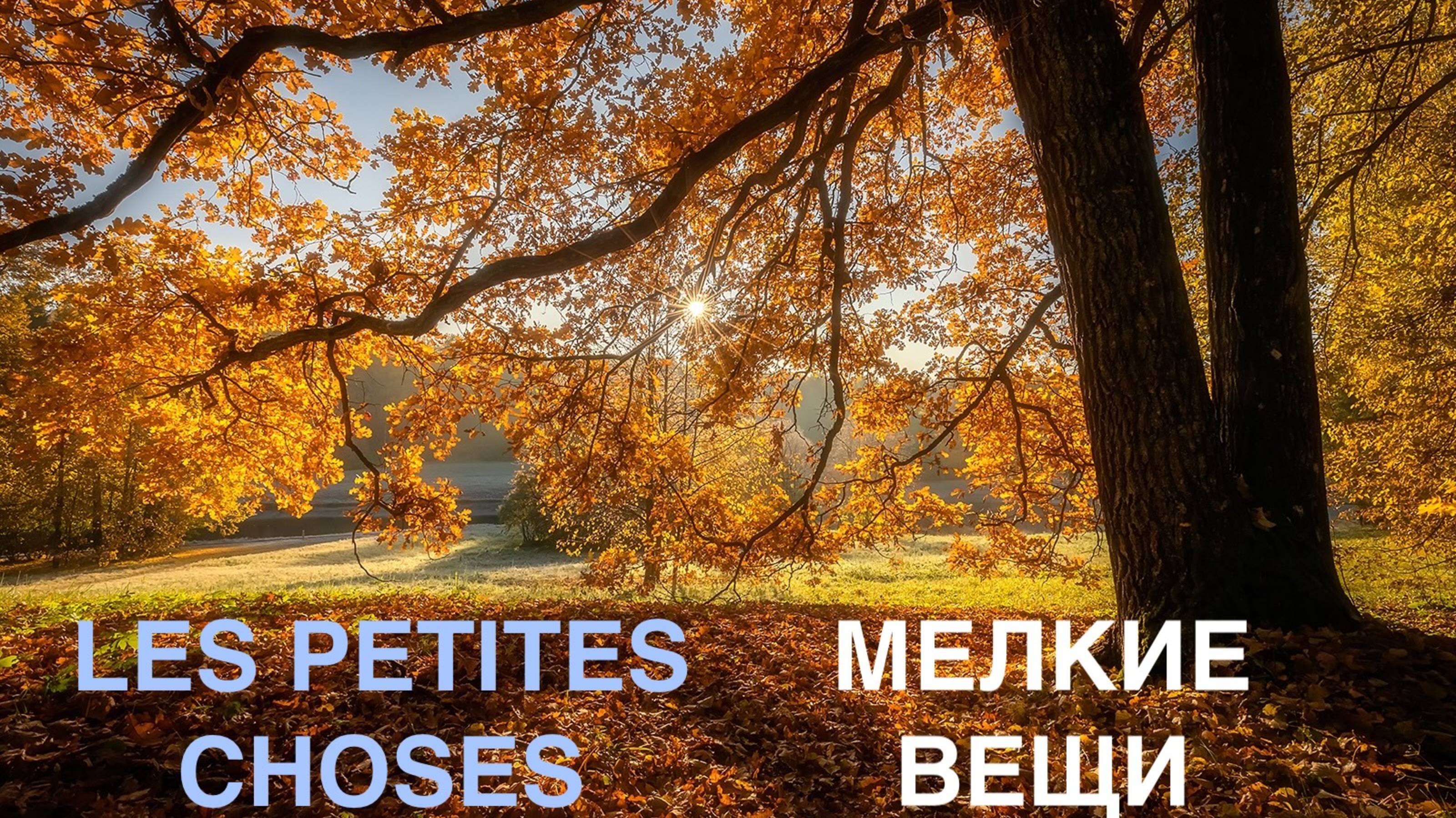 A1 - A2 -  Маленькие вещи - Les petites choses - курсы французского языка