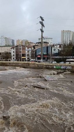 река Сочи после дождя 🌀💧☔