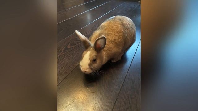 Фотографии про нашу баффи￼ смотреть онлайн