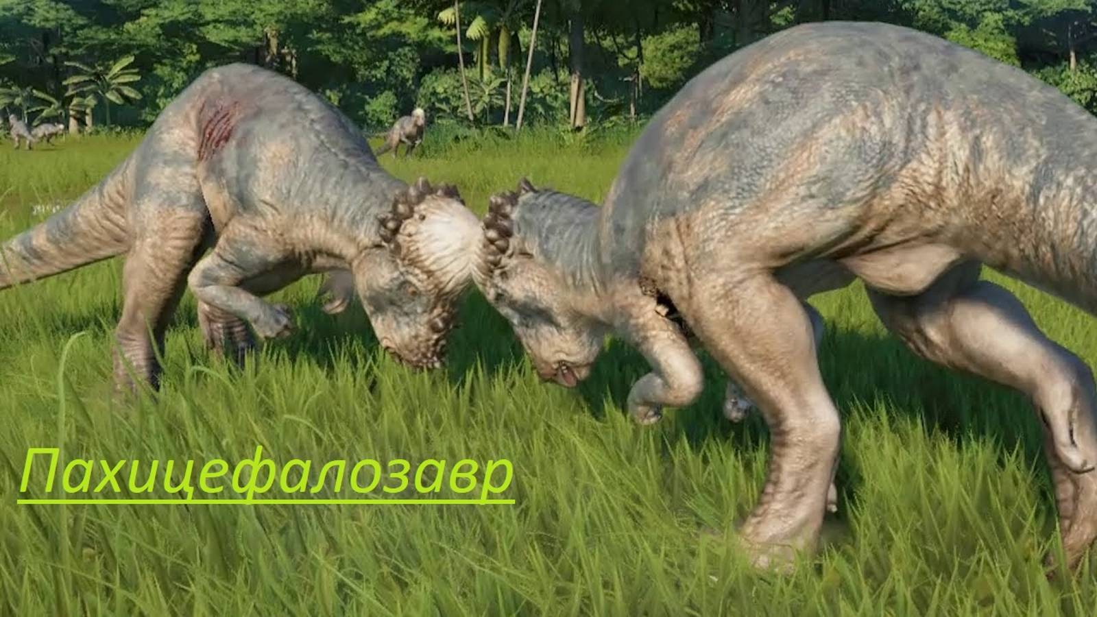 Пахицефалозавр. Толсто лобый динозавр. смотреть онлайн