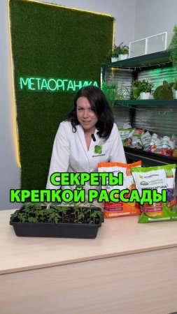 Секреты крепкой рассады, о которых молчат садоводы