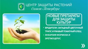 Новые препараты для защиты культур