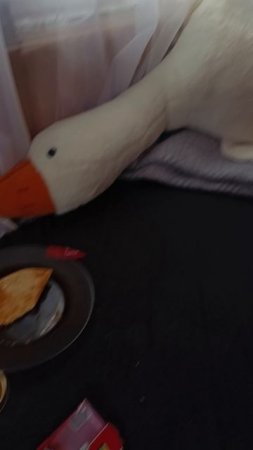 дача