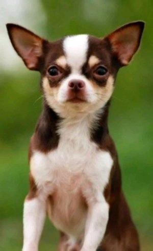 Сегодня я бегу 50 минут