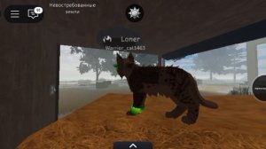 Никто не пришёл и я от скуки снова валяю Иву