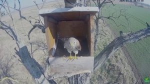 Пустелька волнуется- почему она одна