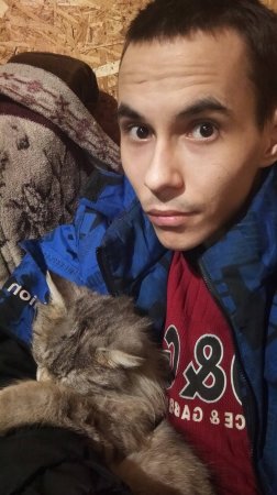 Я Валера, Кошка, Азрапкин, Кот!