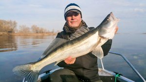 Первый рыболовный день на Нижней Волге в Ветлянке.