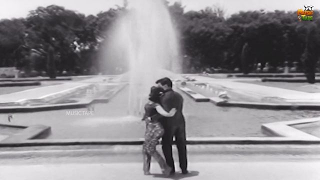 Brinthavanthil Poo Video Song in CID Shankar Movie | 1970 | Jaishankar,A. Sakunthala | Tamil Song. смотреть онлайн