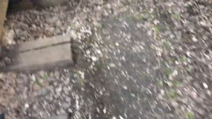 Что Будет Если Положить Вэйп Под Поезд